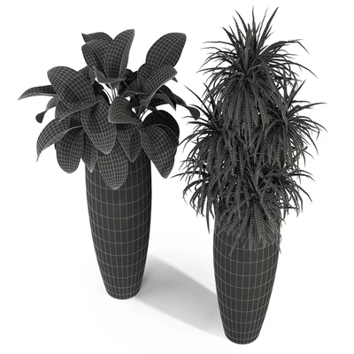 Plants collection 282 Fleurami ROYAL — Ver 3