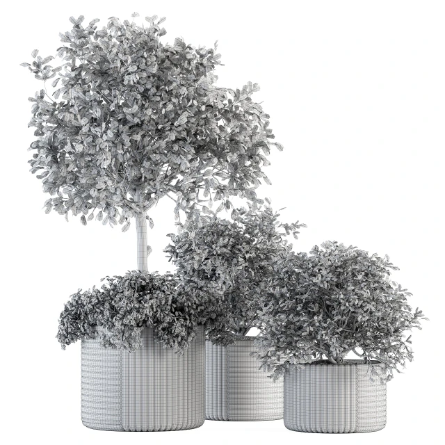 indoor Plant Set 189 - Tree in pot — Descargar