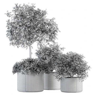 indoor Plant Set 189 - Tree in pot — Ver 5