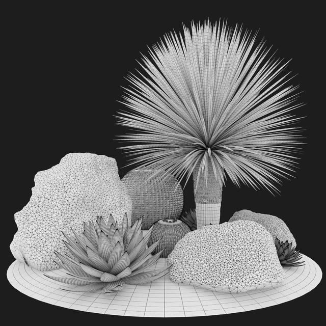 Australian garden — Скачать