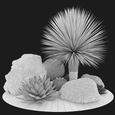 Australian garden — Вид 4