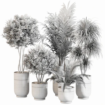 Indoor Plant Set 053 — Вид 5