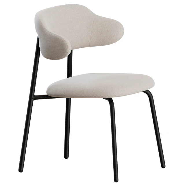 Aloa Dining Chair 02 by Artifort — Descargar