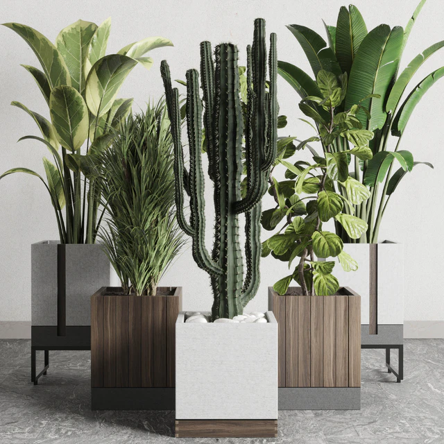 Plant box Indoor outdoor plant 163 wooden and concrete dirt vase box pot palm cactus Collection — Descargar