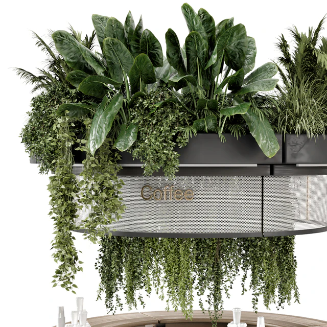Coffee Reception Desk With Plants - Restaurant Set 1815 — Descargar
