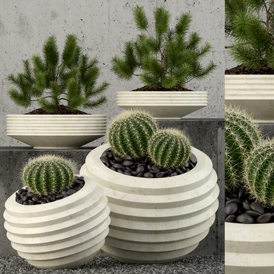 Plants collection 58 — Ver 1