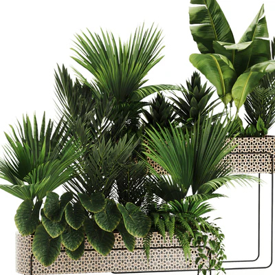 Indoor plants in box set-70 — Ver 6