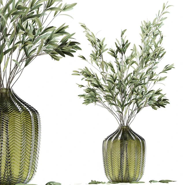 Olive stems in green glass vase — Descargar