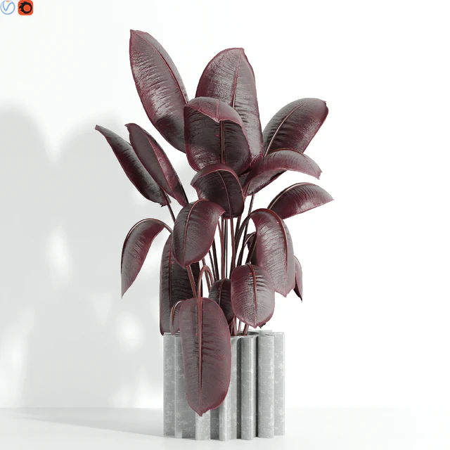 Indoor plant 65 — Descargar