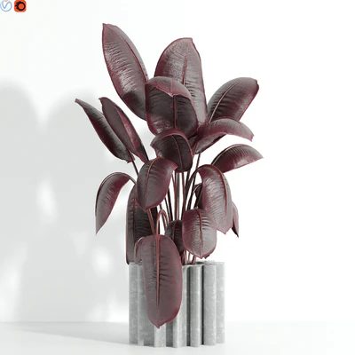 Indoor plant 65 — Ver 3