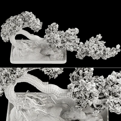 Bonsai Tree 229 — Ver 7