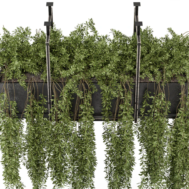 Indoor Hanging Plants in Metal Box - Set 303 — Скачать