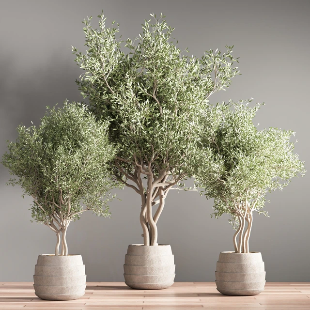 indoor plant stand 39 — Descargar