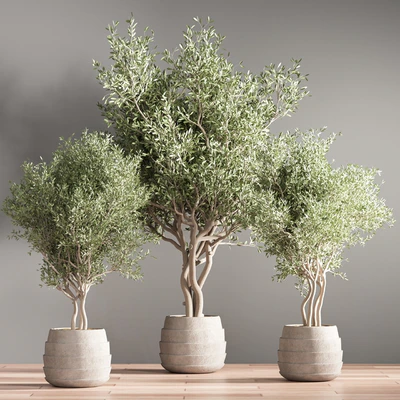 indoor plant stand 39 — Ver 5