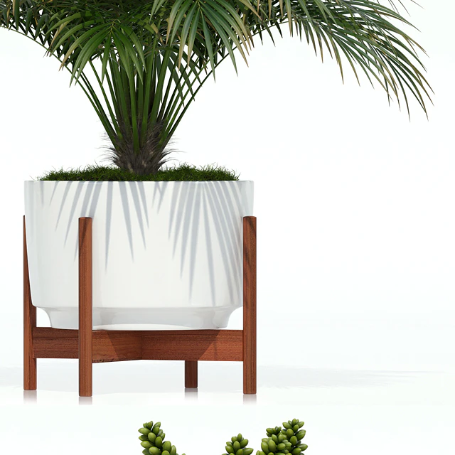 Plants collection 68 Modernica pots — Descargar