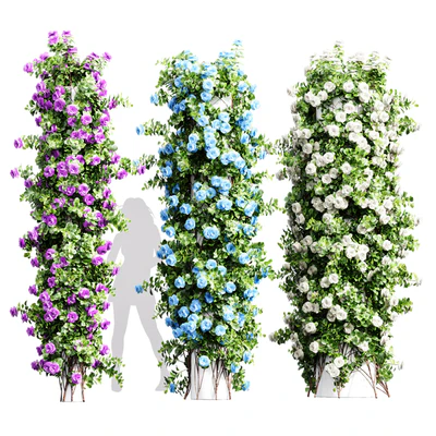 New Plant High detail Climbing Roses Cylinder Columns — Вид 1