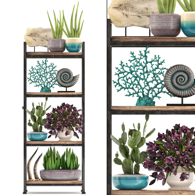 Decorative set. 7th. Shelf, decor, coral, tulips, shelf with flowers, horn — Descargar