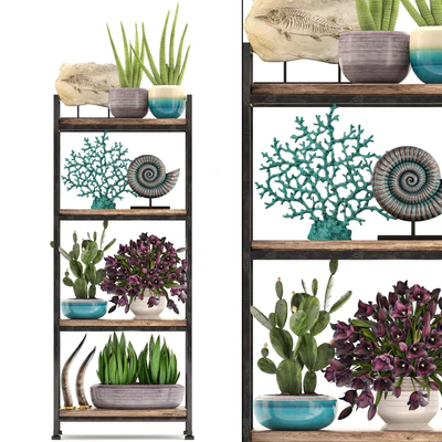 Decorative set. 7th. Shelf, decor, coral, tulips, shelf with flowers, horn — Ver 1