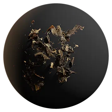 dried leaf pile 003 — Descargar