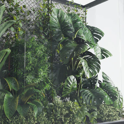 Plants Behind Galss 03 - indoor garden — Ver 4