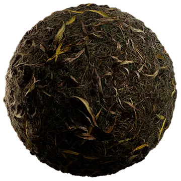 dried leaves 021 — Descargar