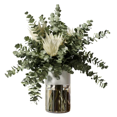 Bouquet with three white proteas and eucalyptus branches in a glass vase — Descargar