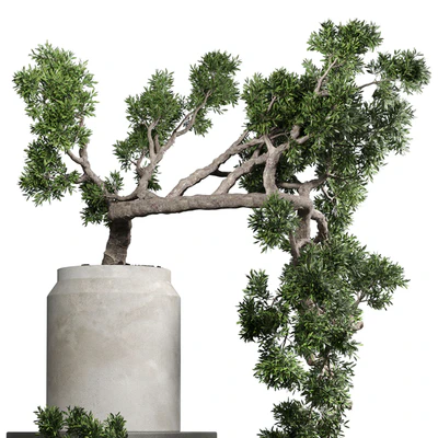 bonsai tree vase old concrete dirt pot — Ver 5