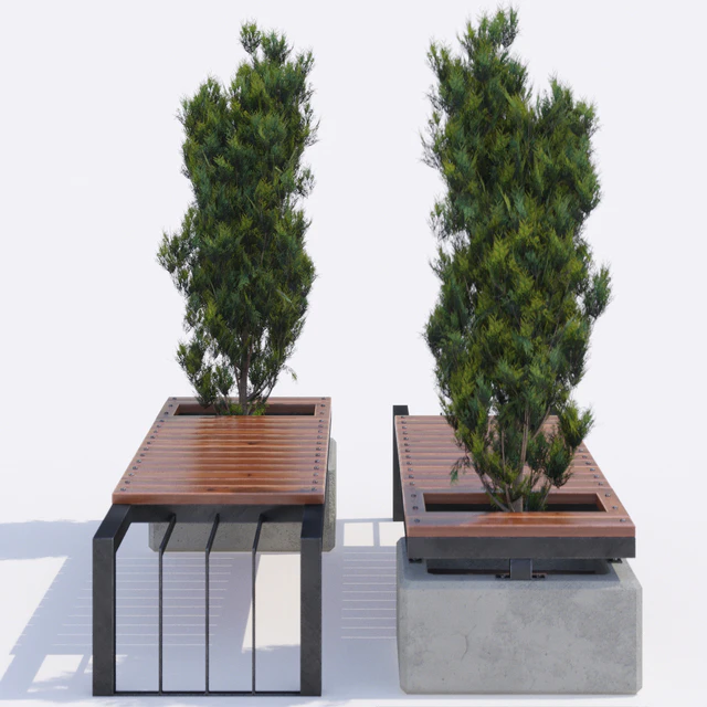 bench and thuja — Download