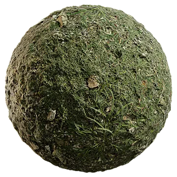uncut grass 009 — Скачать