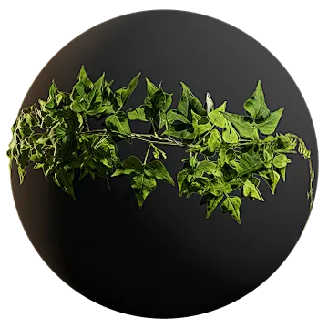 hanging vine 003 — Descargar