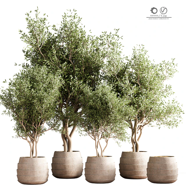 indoor plant stand 40 — Descargar