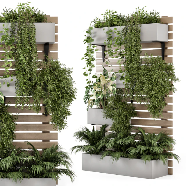 Indoor Hanging Plants in Metal Stand - Set 1131 — Скачать