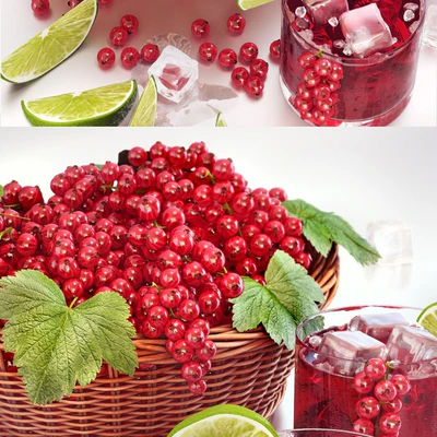 Currant juice with berries — Ver 3
