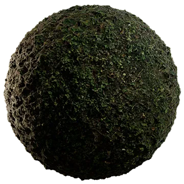 wild grass and weeds 004 — Descargar