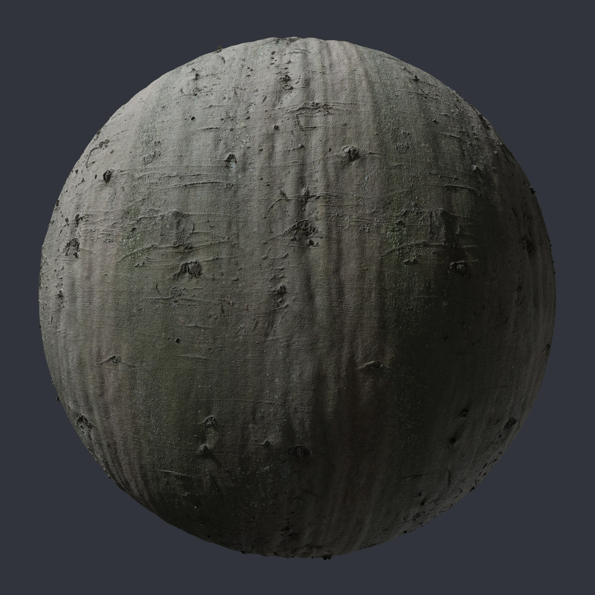 beech bark 006 — Descargar