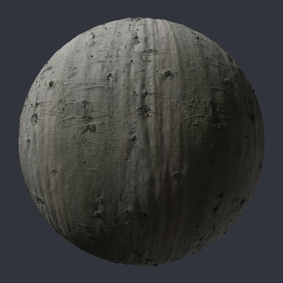 beech bark 006 — Descargar