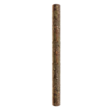 spruce branch bark 001 — Descargar