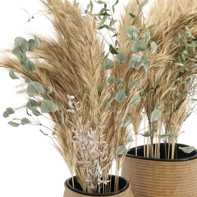 Dry plants 20 - Dried Plantset Pampas set with Wicker Basket — Ver 6