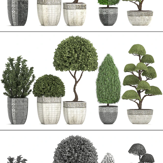 Plant collection 239. Garden plants, landscape design, classic flowerpot, trees, topiary, boxwood — Descargar
