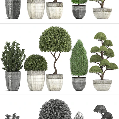 Plant collection 239. Garden plants, landscape design, classic flowerpot, trees, topiary, boxwood — Ver 3