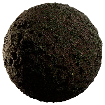 moist lakebed growth 009 — Descargar