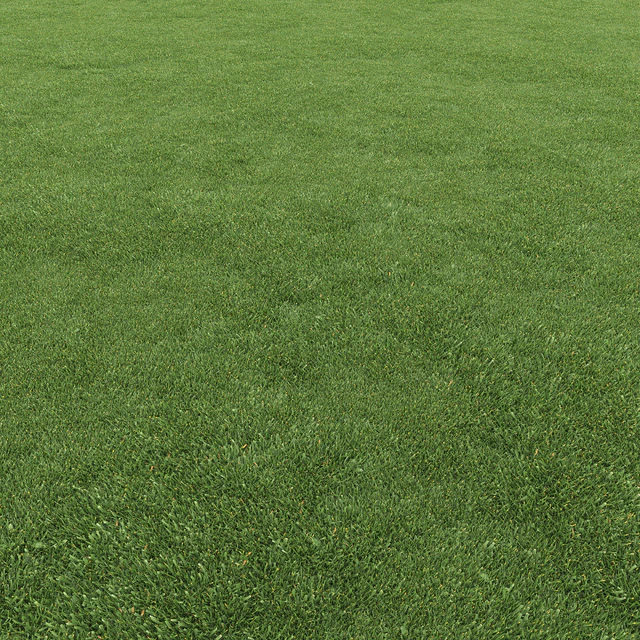 Lawn grass — Descargar