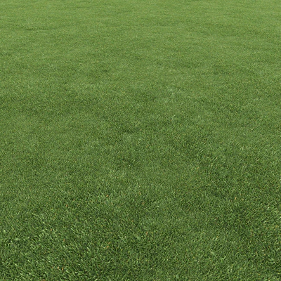 Lawn grass — Ver 7