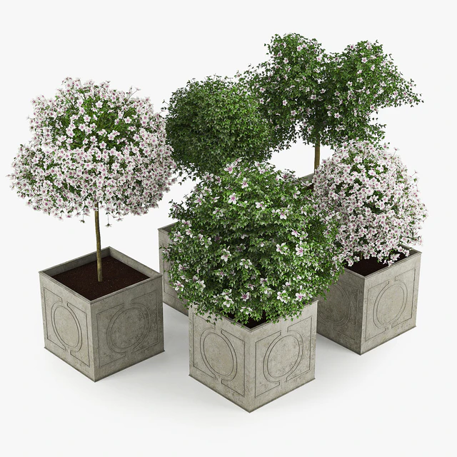 Hibiscus White — Скачать