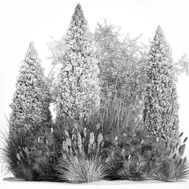 Alpine hill olive, pine, reed, thuja and cypress, feather grass grass, silver goof. Plant collection 1188 — Descargar