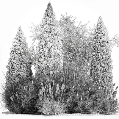 Alpine hill olive, pine, reed, thuja and cypress, feather grass grass, silver goof. Plant collection 1188 — Ver 7