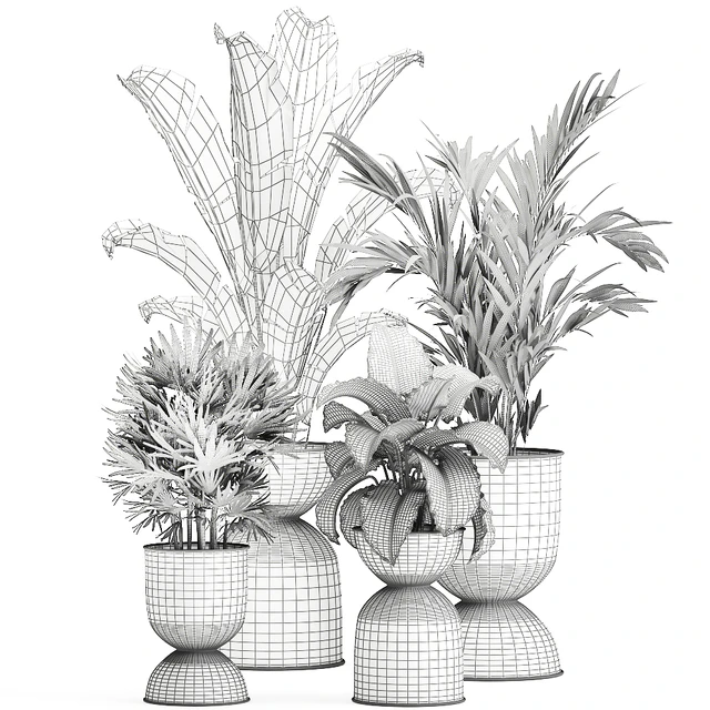 Collection of plants in black metal pots with Strelitzia, banana palm, Alokasia, rapeseed. Set 897. — Descargar