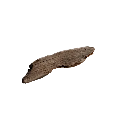 beach wood debris 001 — Скачать