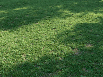 shella grass pack — download