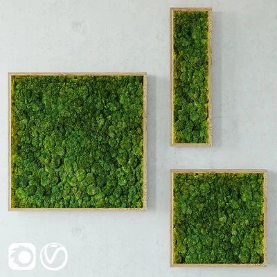 Moss modules 2 — Ver 1